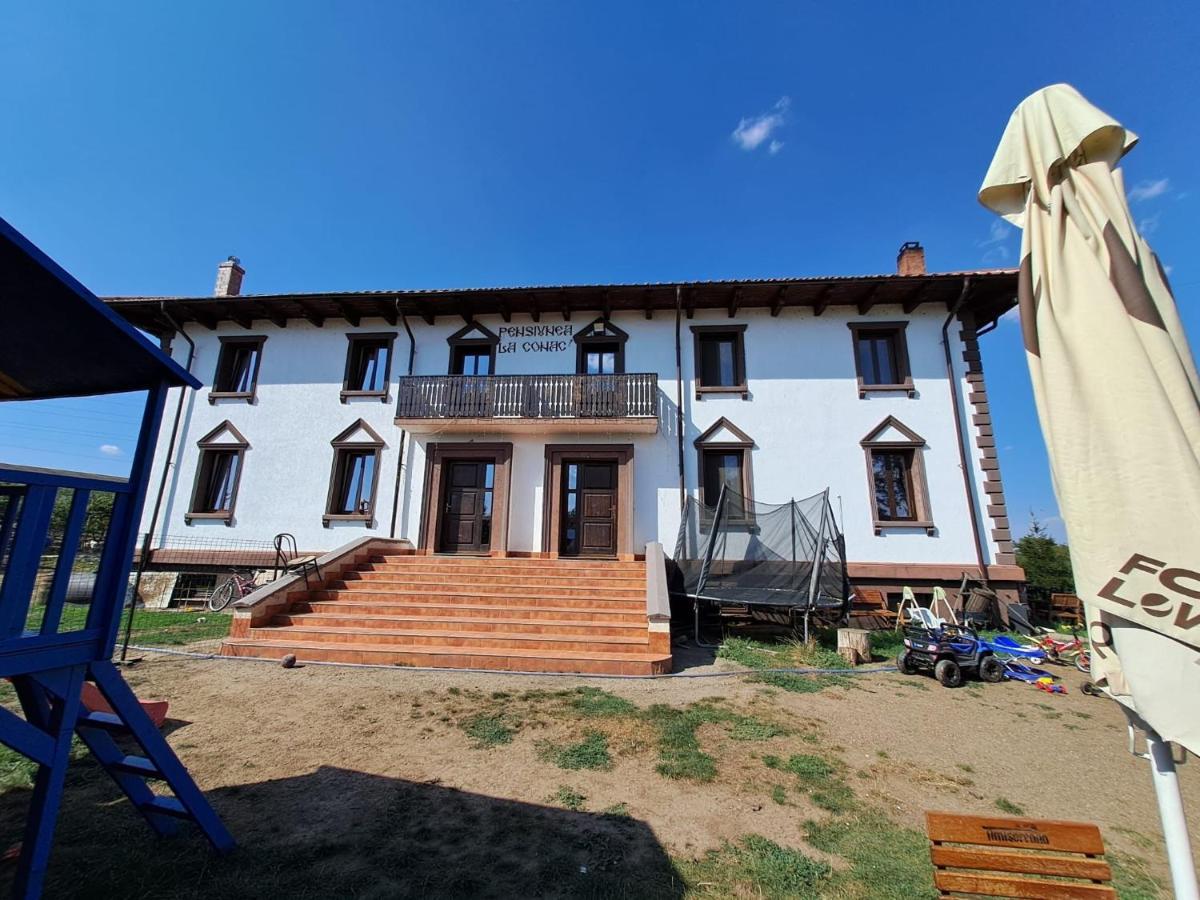 Pensiunea La Conac Bîrlad Exteriör bild